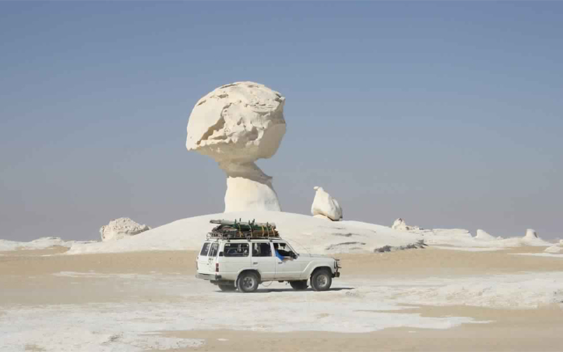 Tour of the White Desert and Bahariya Oasis